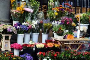 Цветы к 8 марта начнут продавать в Астрахани завтра