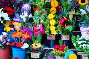 В Астрахани утвердили список адресов для продажи цветов к 8 Марта