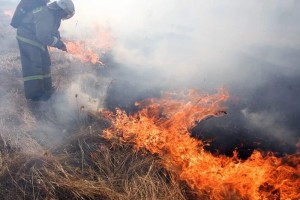 В Астраханской области за минувшие сутки пойманы 17 поджигателей и ликвидировано 5 крупных пожаров