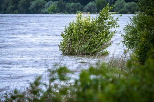 В Астрахани ожидается "большая вода"