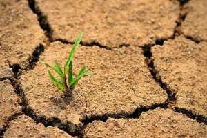 Астраханские законодатели предлагают создать Национальный центр по борьбе с опустыниванием