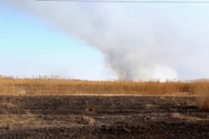 Число возгораний камыша и травы в Астраханской области выросло вчетверо