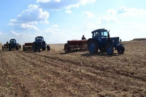 В Астраханской области к высадке сельхозкультур подготовлено 63 тыс гектара пашни