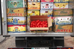 В Астрахани попытались ввезти 19 тонн китайских томатов