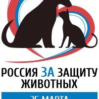 В Астрахани состоится митинг в защиту животных