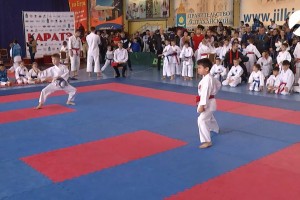 Около 900 спортсменов приняли участие в VII Открытых всероссийских играх карате «Наследие»