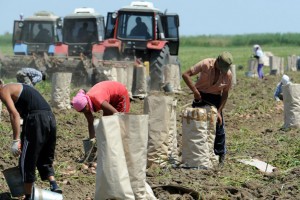 Астраханские фермеры смогут поставлять продукцию в Сибирь и на Дальний Восток