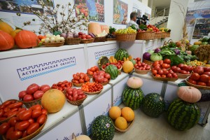 В Астраханской области вырастили более 1,5 млн тонн сельхозпродукции