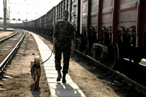 Житель Казахстана спрятался в грузовом поезде, чтобы проникнуть на территорию России