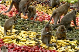 Мозг человека эволюционировал из обезьяньего благодаря фруктам