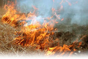 В Астрахани из-за неосторожности при сжигании мусора произошёл пожар, спасены 9 человек