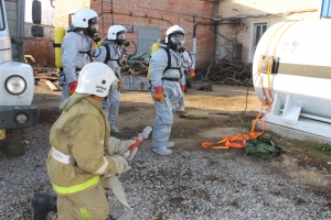 Показательная тренировка добровольных пожарных и профессиональных спасателей