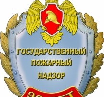 Государственному пожарному надзору России 90 лет