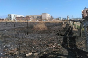 Сегодня утром на улице Керчинской горел камыш
