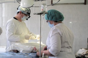 Врачи Александро-Мариинской больницы успешно проводят сложнейшие операции