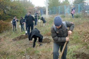 Школьники Приволжского района высадили «Аллею 300-летия Астраханской губернии»