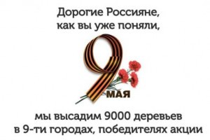 Астраханцы могут проголосовать за появление «Аллеи Славы»