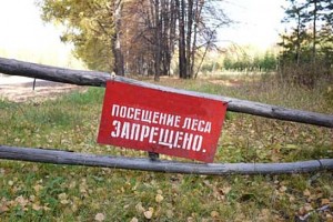 В Астраханской области до 15 мая введён режим пребывания граждан в лесах