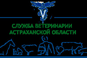 Служба ветеринарии Астраханской области оставила без внимания обращения граждан