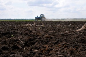 Астраханцы заплатят 18 тысяч рублей штрафа за неиспользование земли сельхозназначения