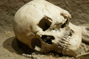 В двух районах Астраханской области нашли человеческие останки