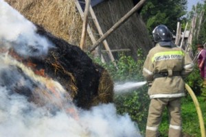 В Астраханской области из-за непотушенного окурка сгорело 3 тонны сена