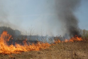В Астраханской области объявлен четвёртый класс пожароопасности