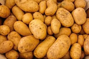 В Астрахани продают «золотую» картошку