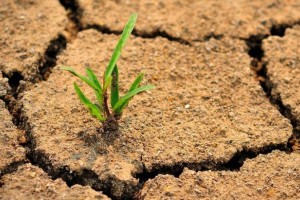 Астраханские депутаты предложили создать национальный центр по борьбе с опустыниванием