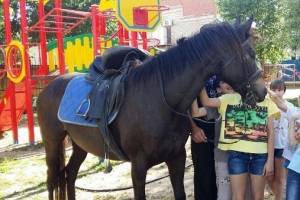 Астраханский епископ подарил детскому приюту коня