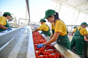 «АПК Астраханский» удваивает мощность производства томатной пасты