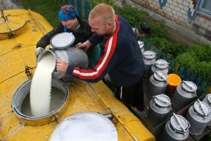 Из Астрахани пытались вывезти 17 тонн молочной продукции без документов