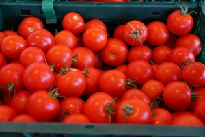В 2017 году астраханский завод по производству томатпасты в 4 раза увеличит объемы производства
