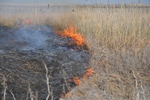 В Астраханской области 11 июня объявлена высокая пожароопасность, местами дожди