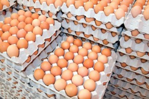 На территории Астраханской области задержали более 300 тысяч штук яиц без документов