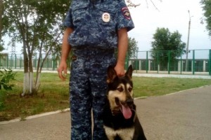 Служебная собака помогла раскрыть кражу в одном из сёл Астраханской области