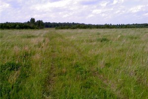 В Черноярском районе фермеры использовали сельхозземли с нарушением закона