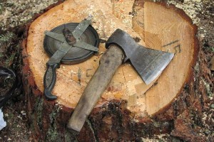 Астраханец заплатил 130 тысяч рублей за вырубку деревьев