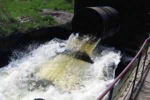 Филиал астраханского «РЖД» сливал сточные воды в Кривую Болду