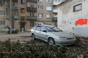 В Трусовском районе Астрахани дерево упало на машину