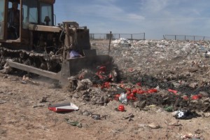 В Астраханской области уничтожили 100 кг санкционных перцев