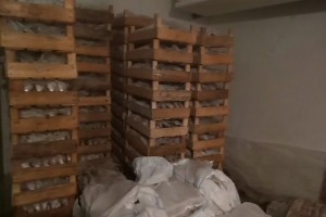 В Астраханской области пограничники обнаружили 6 тонн незаконно добытой рыбы