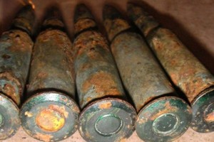 Пограничники обнаружили на территории Калмыкии 17 патронов и фрагмент  винтовки Мосина