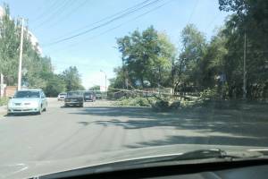 В Астрахани дерево повалило светофор на проезжую часть