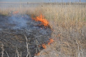 Астраханцев предупреждают о высокой пожароопасности