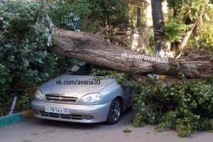 На ул. Барсовой дерево упало на припаркованный автомобиль