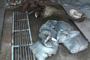 В Астраханской области пограничники изъяли более тонны частика без документов