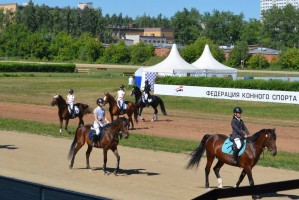 Президент  Федерация конного спорта Астраханской области предстанет перед судом