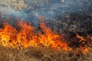 На территории Астраханской области сохраняется высокая пожароопасность