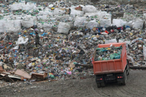 Надзорные органы отмечают положительную динамику в ситуации с вывозом мусора